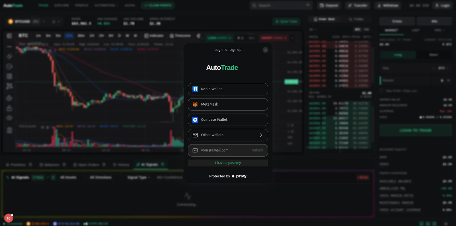 Wallet and email authentication (Privy)
